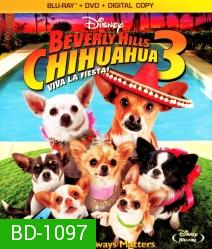 Beverly Hills Chihuahua 3 Viva La Fiesta! คุณหมาไฮโซ โกบ้านนอก 3