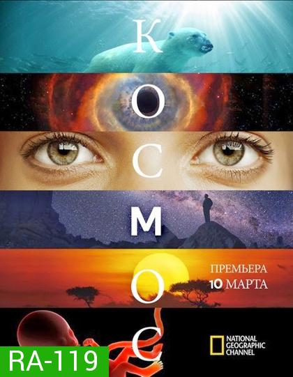 Cosmos A Spacetime Odyssey Season 1