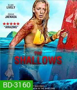 The Shallows (2016) นรกน้ำตื้น