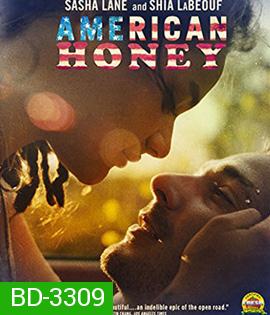 American Honey (2017) อเมริกัน ฮันนี่ (Master)