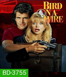 Bird on a Wire (1990) ดับอำมหิต