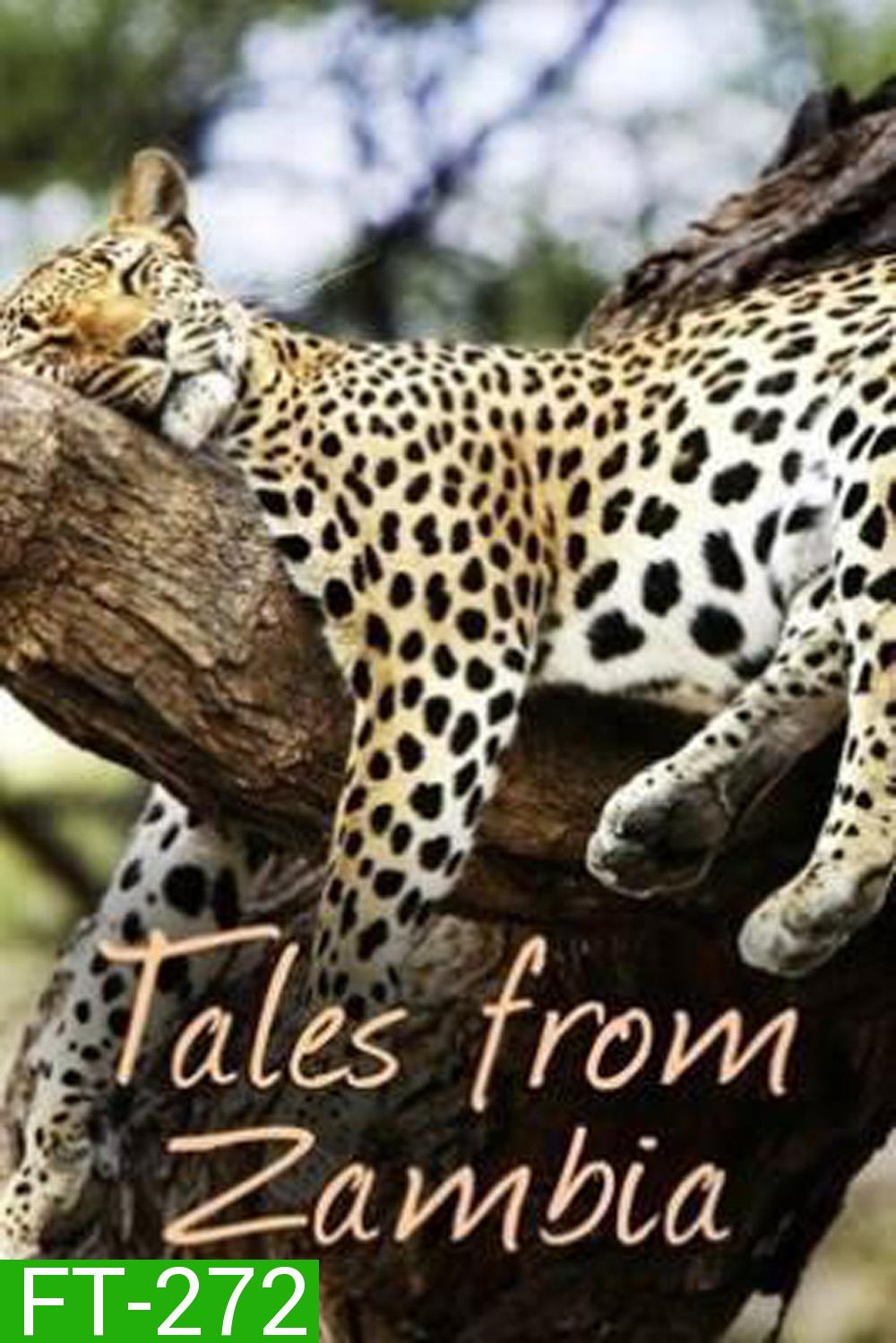 Tales From Zambia เทพนิยายจากแซมเบีย (2016) 7 ตอน