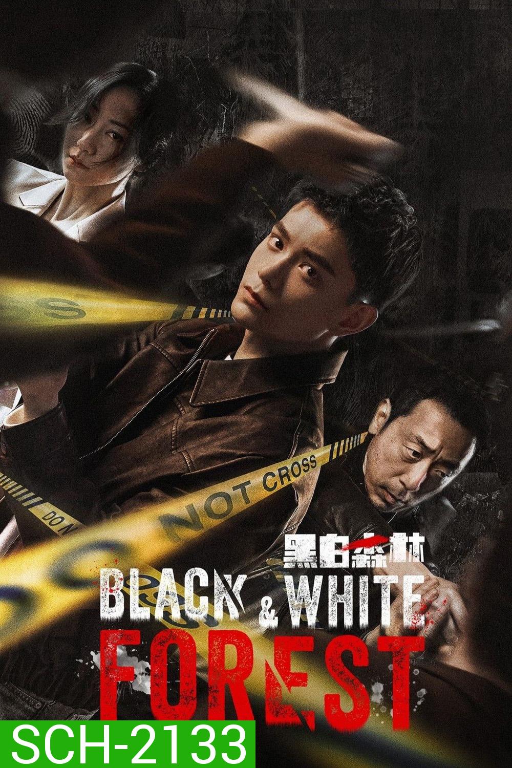 Black and White Forest ปมปริศนาป่าซ่อนเงื่อน (2024) 28 ตอนจบ