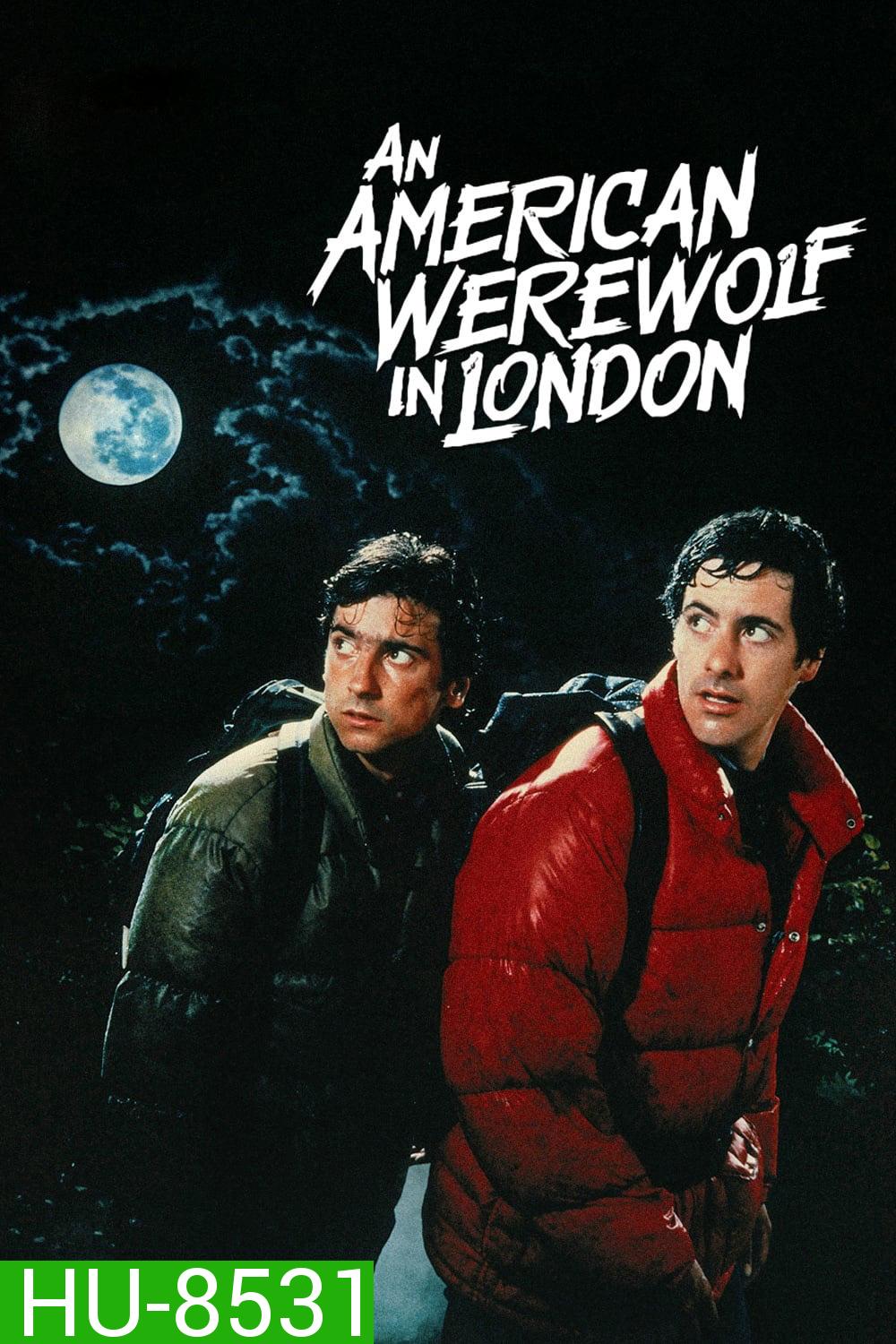 คนหอนคืนโหด An American Werewolf in London (1981)