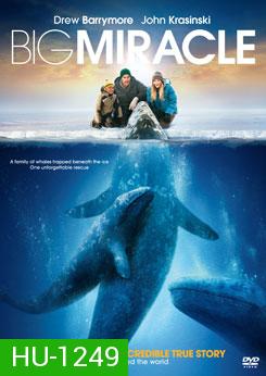 Big Miracle ปาฏิหาริย์วาฬสีเทา